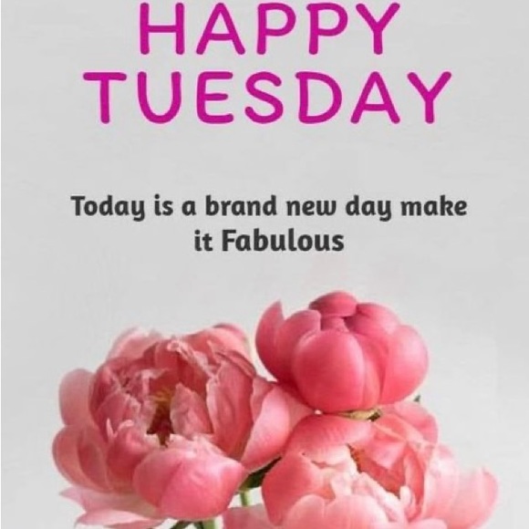 🛍️OFFERS WELCOME! 🛍️ - Picture 6 of 14